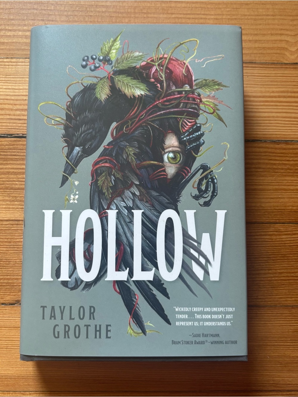 Hollow by Taylor Grothe Hardcover Book